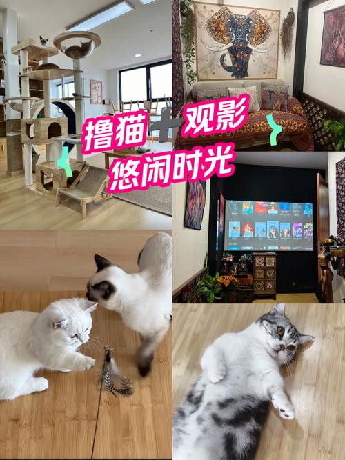 小草影院的相关介绍