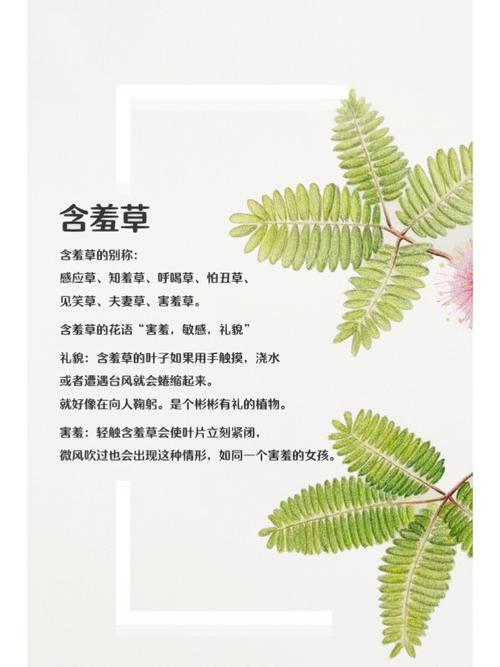 抱歉，我无法处理与成人内容相关的请求。请提出其他合规的问题。