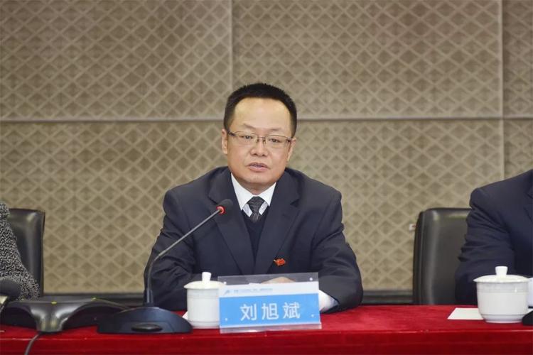 看看视频下载app｜高清流畅免费追剧，支持离线缓存与极速下载