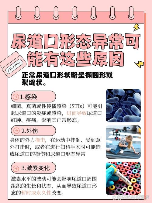 少妇av一区二区的相关介绍