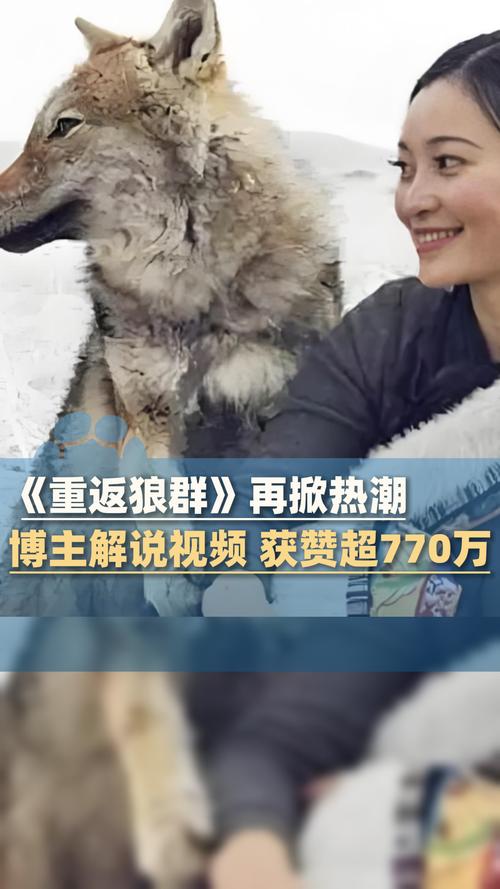 看看影院在线观看：最新热门电影电视剧免费追剧神器，高清无广告流畅播放体验