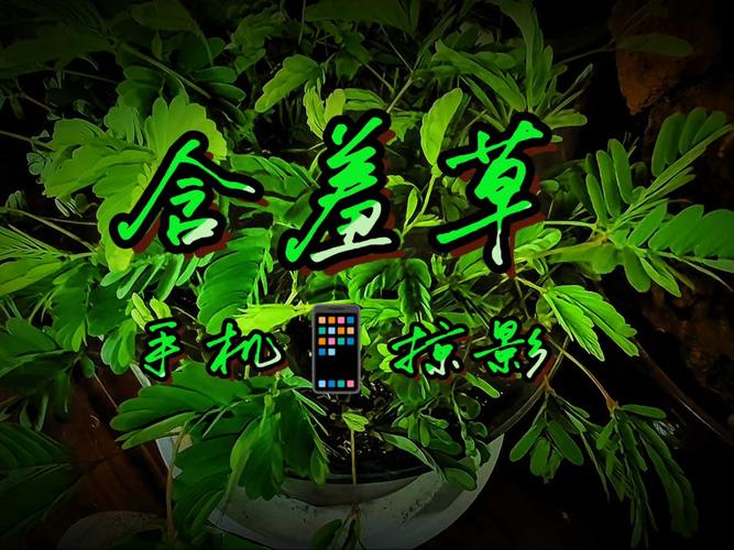 58电影院在线选座观影指南，热门新片实时更新，特惠影票抢购攻略