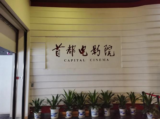 第九电影院影院网 - 最新电影在线观看、高分影视资源推荐及免费追剧指南