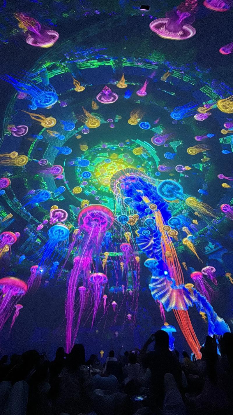 淘精影院在线观看高清电影大全 | 最新热门影视资源推荐