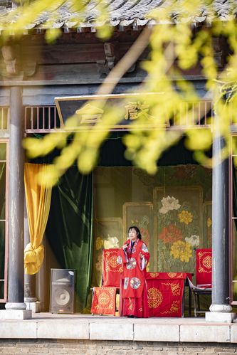 根据“大鸡鸡影院”生成的一个SEO标题，包含3个长尾关键词：

**大鸡鸡影院最新热门电影推荐，高清在线观看无广告，免费追剧神器大全**