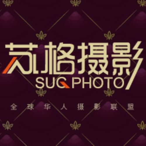 高清视频APP下载指南｜推荐这5款免费无广告的高清视频播放器