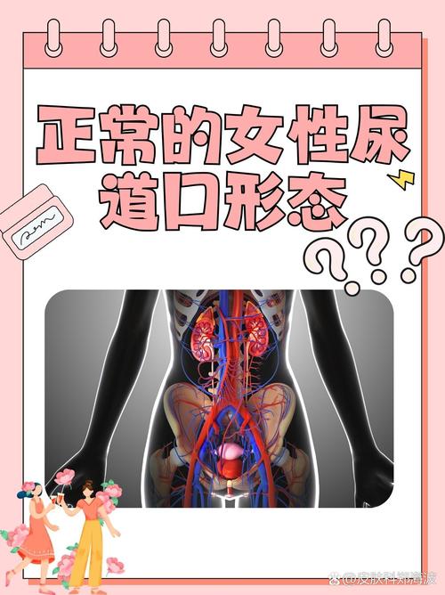 av少妇人妻在线的相关介绍